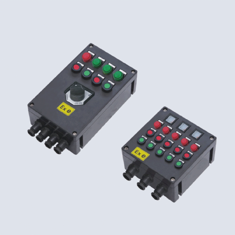 BXK8050-系列防爆防腐控制箱(IIC、 ExtD)